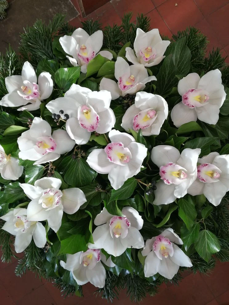Fehér orchidea fekvő koszorú (FK-10)