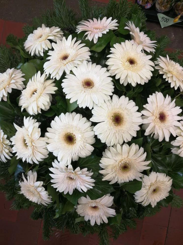 Krém gerbera fekvő koszorú (FK-12)