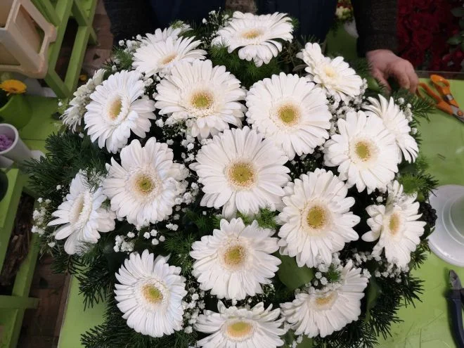 Fehér nagyfejű gerbera fekvő koszorú (FK-184)