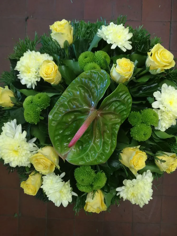 Anthurium, krém krizantém fekvő koszorú (FK-75)