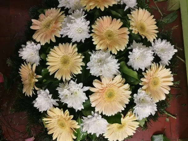 Krém gerbera fekvő koszorú (FK-82)