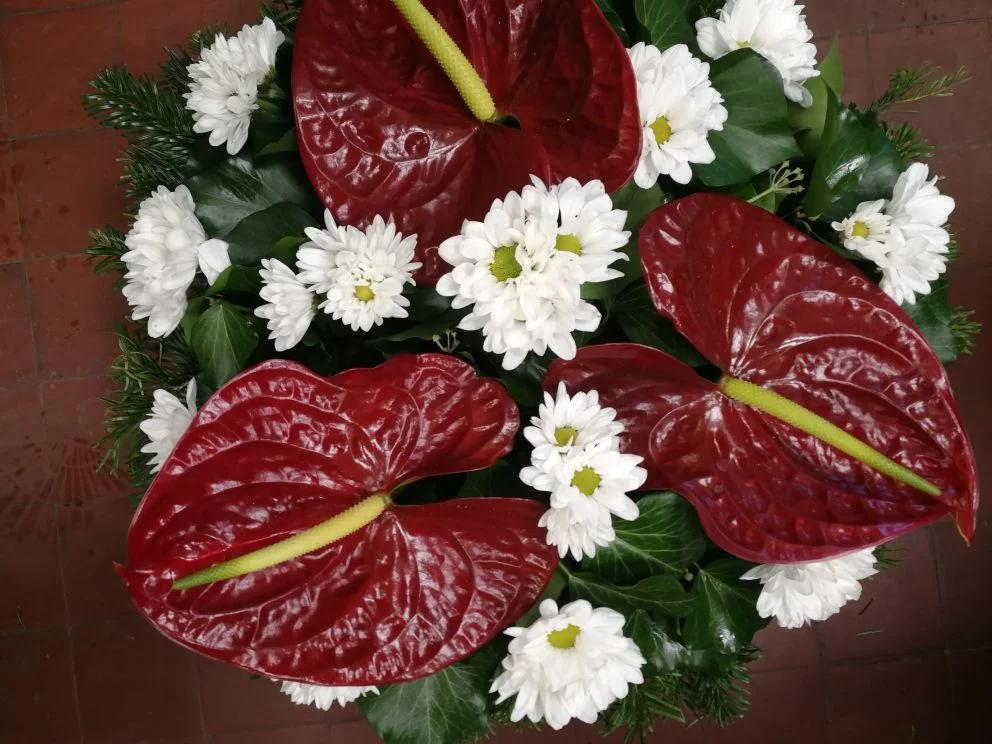 Anthurium, krizantém fekvő koszorú (FK-96)