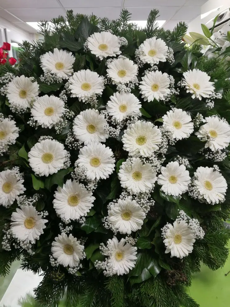 Fehér gerbera álló koszorú rezgővel – 80, 90 vagy 100 cm-es kivitelben, több színben rendelhető. Prémium temetési virág. Nefelejcs Virágüzlet.