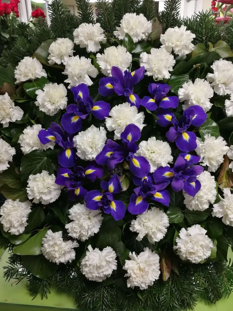 Álló koszorú (80 cm) fehér szegfűvel és lila írisszel – visszafogott, elegáns temetési kompozíció. Több színben rendelhető. Nefelejcs Virágüzlet.