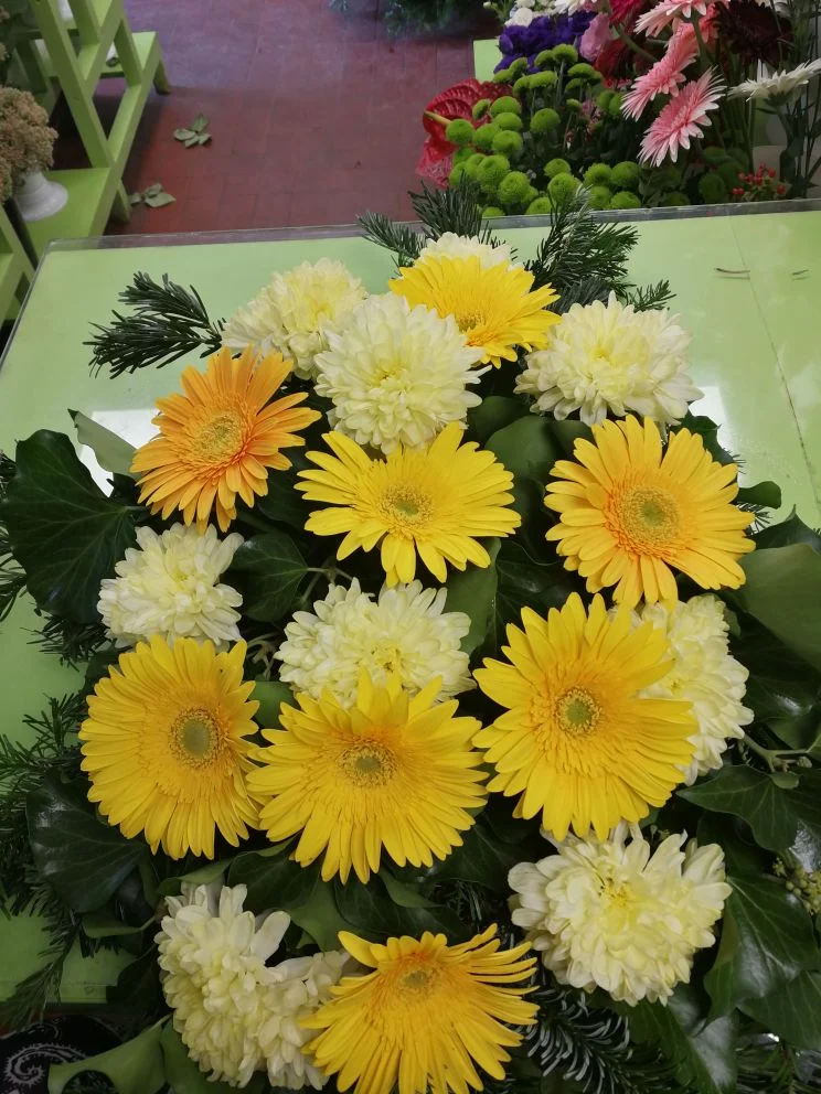 Gerbera, krizantém sírcsokor (S-12)